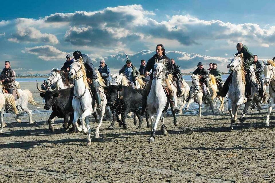 Hotel Le Neptune En Camargue Saintes-Maries-de-la-Mer Eksteriør billede