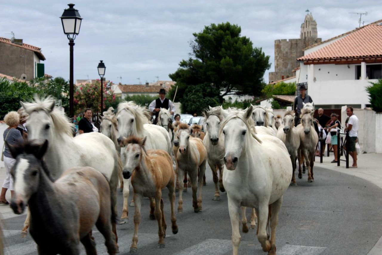 Hotel Le Neptune En Camargue Saintes-Maries-de-la-Mer Eksteriør billede