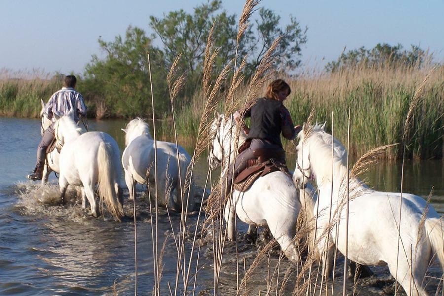 Hotel Le Neptune En Camargue Saintes-Maries-de-la-Mer Eksteriør billede