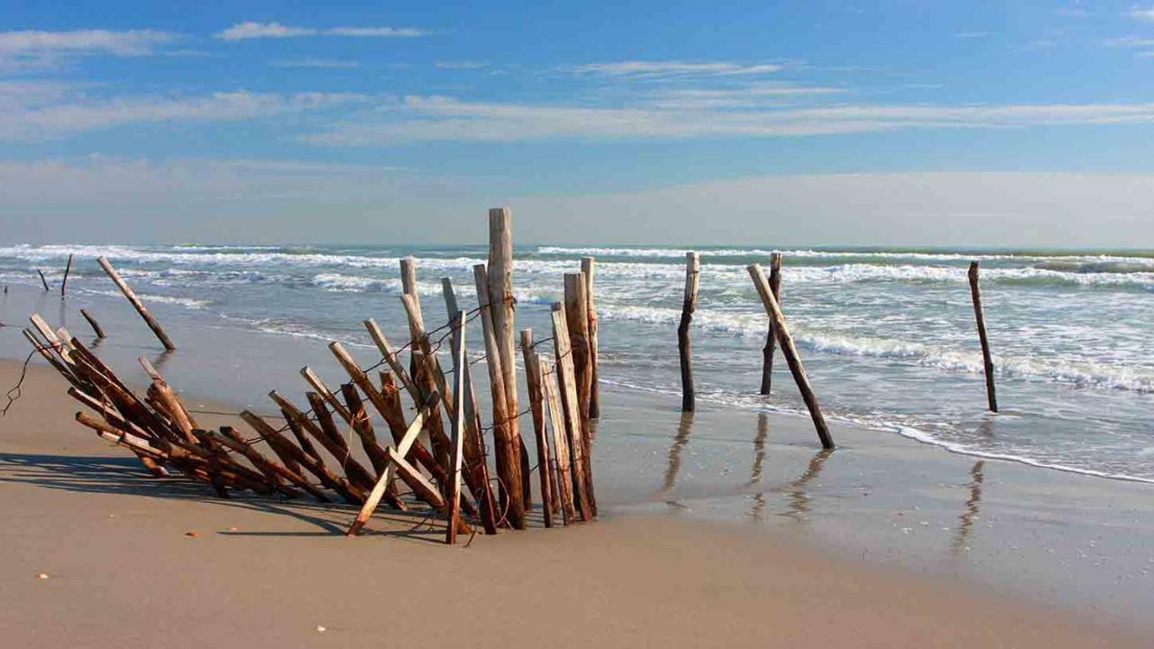 Hotel Le Neptune En Camargue Saintes-Maries-de-la-Mer Eksteriør billede