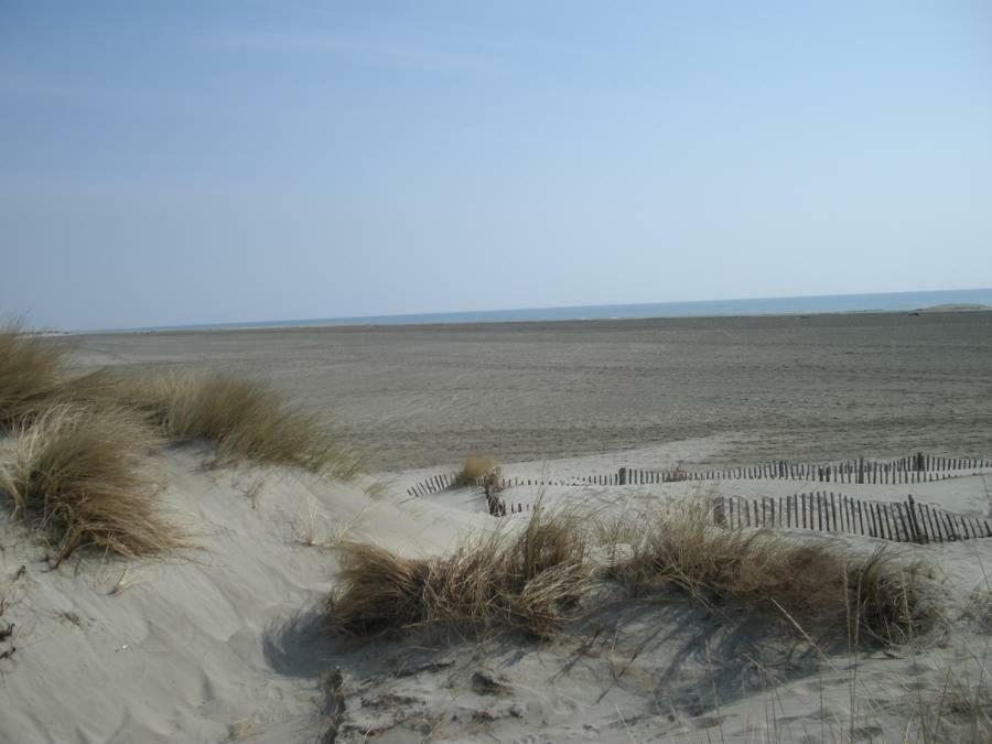 Hotel Le Neptune En Camargue Saintes-Maries-de-la-Mer Eksteriør billede